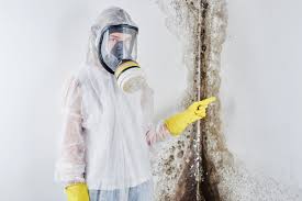 Best Industrial Mold Remediation  in Hamilton, MO